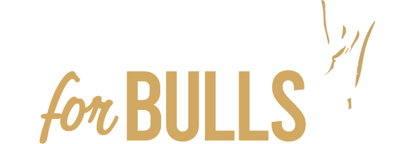 Apartments For Bulls Logo